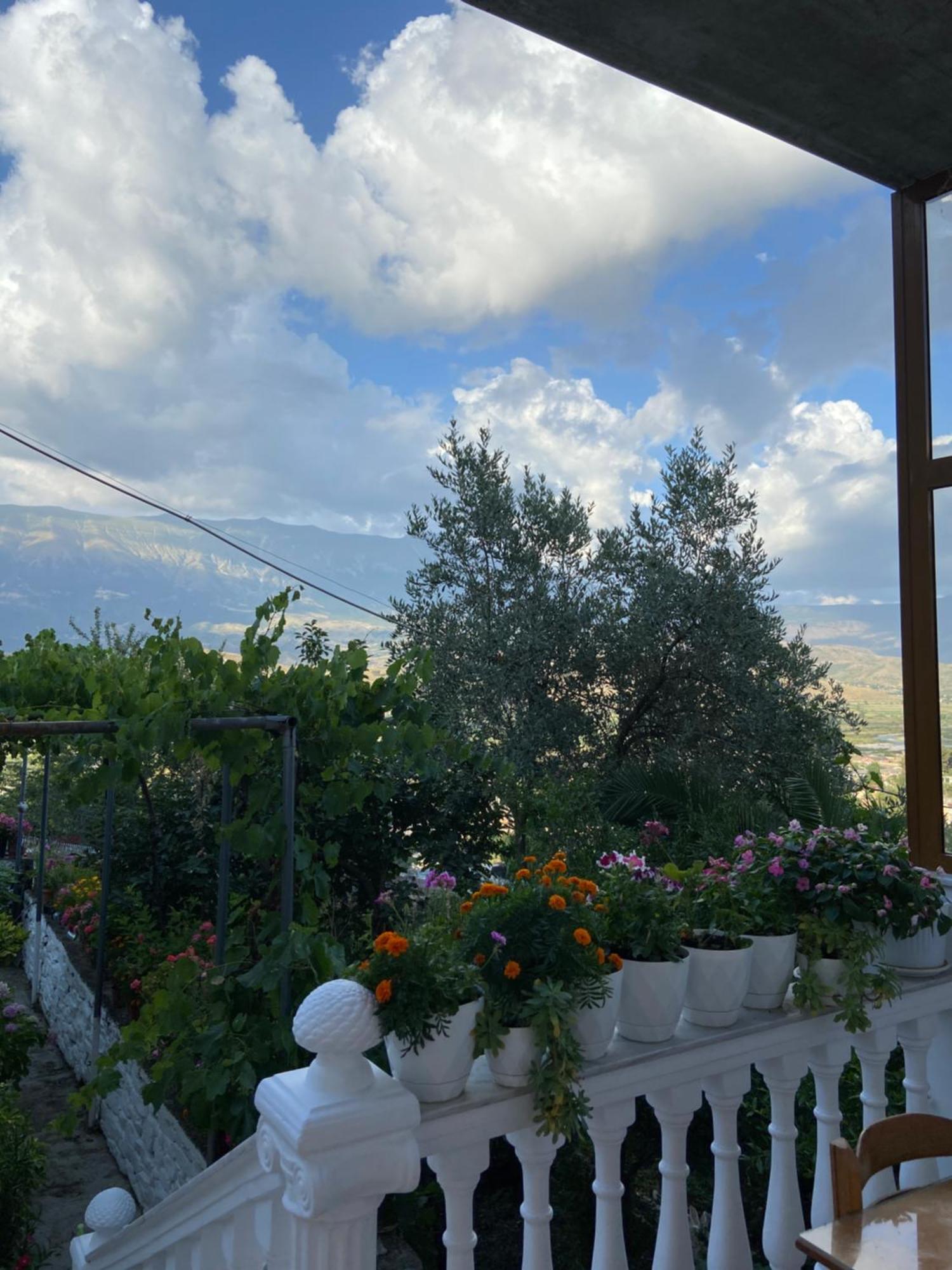 Stonetale Garden Guesthouse Gjirokaster Exterior photo